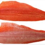 filete de trucha sin piel